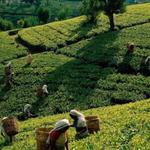 02b67812-2489-4b34-a2e8-7e4ecd3d60df